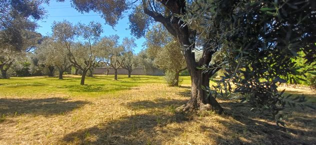 Bellissimo terreno - Foto 7
