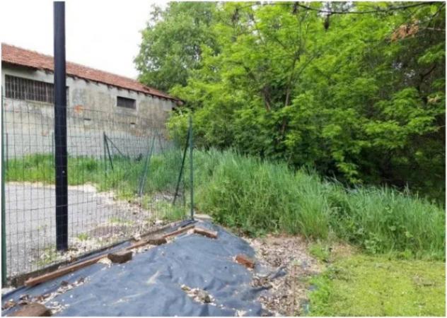 Immobile in asta di 13200 m² in vendita a Cremona - Foto 4