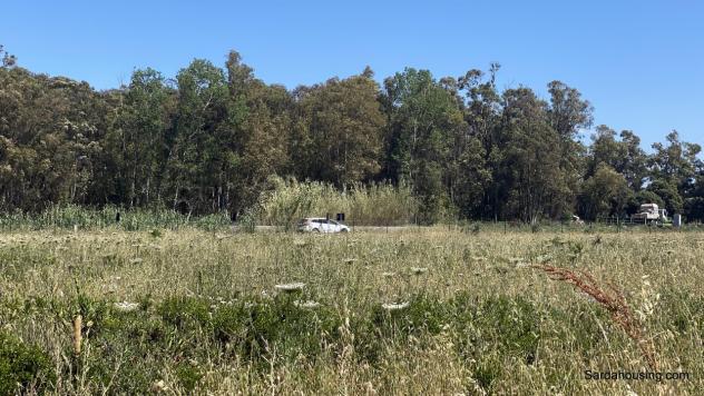 Màssama, Oristano, grande casale al grezzo con terreno di tre etttari - Foto 5