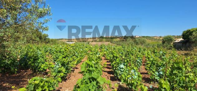 Terreno in vendita a Noto - Foto 5