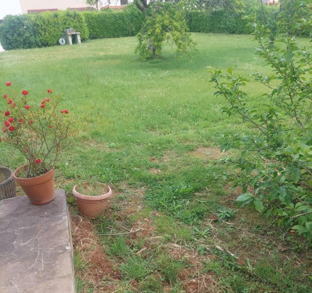 Villa in vendita a Castelfranco di Sotto 400 mq Rif: 1411425 - Foto 2