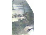 Immobile in asta di 61 m² in vendita a Viggiano