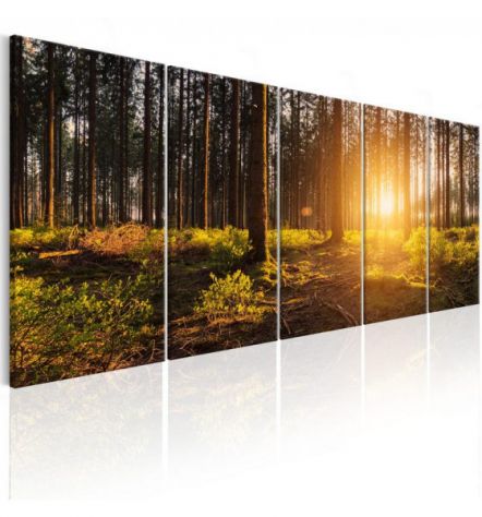 Quadro Alberi Del Bosco 200x80 E 225x90 ARREDALACASA