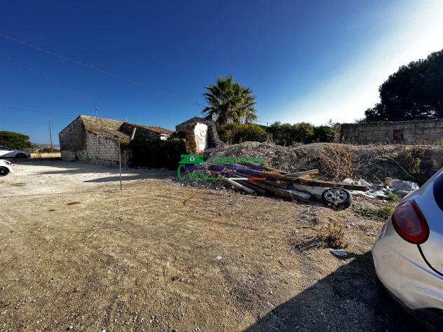 Rif.2375 - Casa di campagna con terreno e uliveto – Pedalino - Foto 4