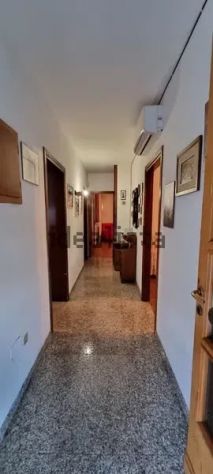Prima Periferia - Foto 8