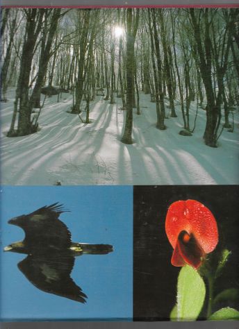 2001 LE PAROLE DEI NEBRODI IMMAGINI DEL PARCO RILEGATO SOVRACCOPERTA - Foto 2
