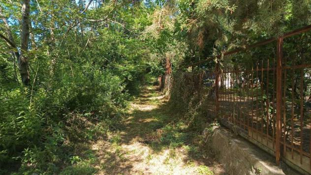 Vigneto in vendita a Castel San Giorgio - Foto 3
