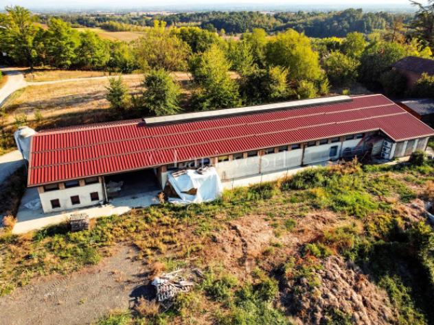 Rustico / Casale di 70000 m² con più di 5 locali in vendita a Fubine Monferrato - Foto 2