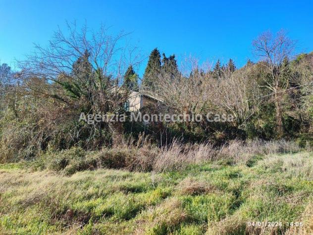 CASA COLONICA CON RICOVERO ATTREZZI, SILOS, TERRENO AGRICOLO E BOSCO - Foto 12