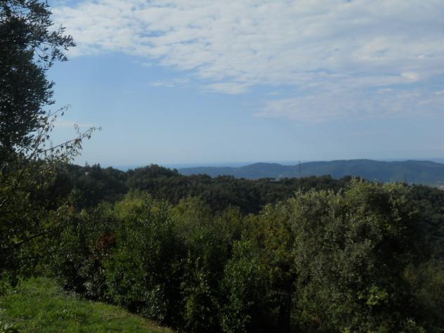 Agricolo in vendita a Sarzana - Foto 5
