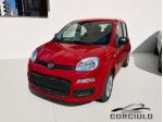 FIAT - Pandina - 1.0 Hybrid Icon RED