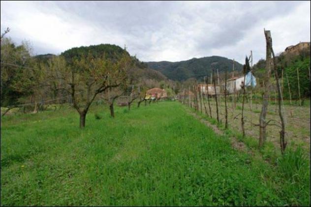 Seminativo in vendita a Fosdinovo - Foto 3