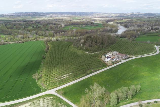 terreno agricolo in vendita a Cherasco