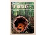 IL BOSCO.Collana: Guardiamoci intorno Ed.Touring Club Italiano, 1984