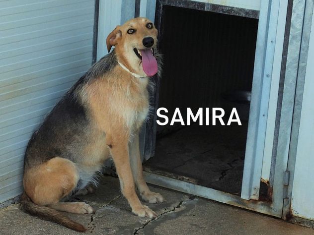 Samira bella e sorridente - Foto 2