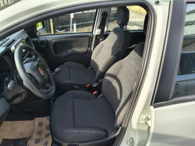 FIAT Panda 3ª serie Panda 1.0 FireFly S&S Hybrid Icon - Foto 6