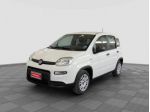 FIAT Panda Panda 1.2 EasyPower rif. 23697109