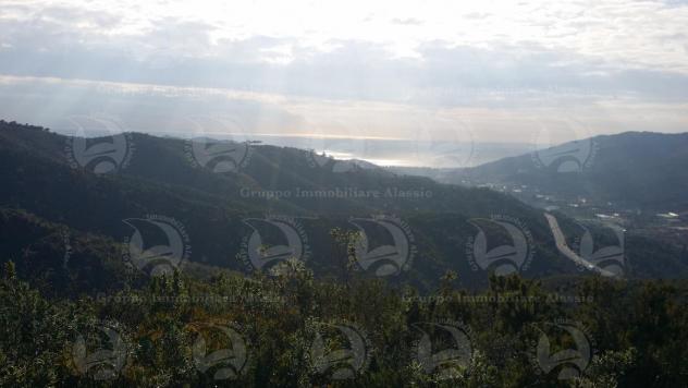 Alassio Andora, terreno incolto collinare, vista mare. - Foto 12