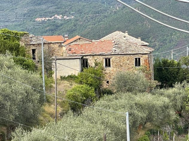 Antico Casale tra gli ulivi della Riviera Ligure di Ponente - Foto 2