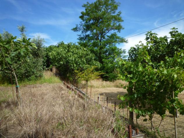 Terreno agricolo in vendita a Chiecinella - Palaia 9000 mq Rif: 455004 - Foto 7