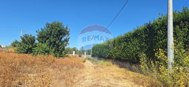 Terreno Edificabile in vendita a Rosolini - Foto 7