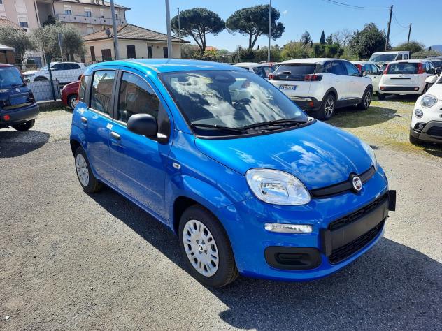 FIAT Pandina PANDA MY26 1.0 65CV HYBRID ICON