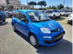FIAT Pandina PANDA MY26 1.0 65CV HYBRID ICON