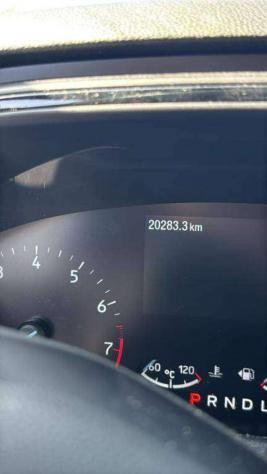 FORD Focus 5p ST-Line 1.0T EcoBoost Hybrid 155 CV Powershift rif. 23942956 - Foto 6