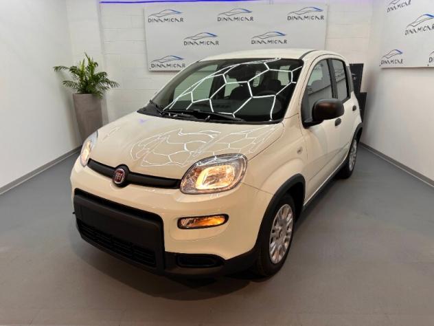 FIAT Pandina Pandina 1.0 FireFly 65 CV Hybrid Icon - Foto 5