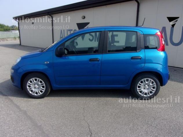 FIAT Panda 1.0 FireFly S&S Hybrid rif. 22458036 - Foto 8