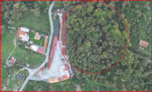 Immobile in asta di 11618 m² in vendita a Rivello - Foto 12