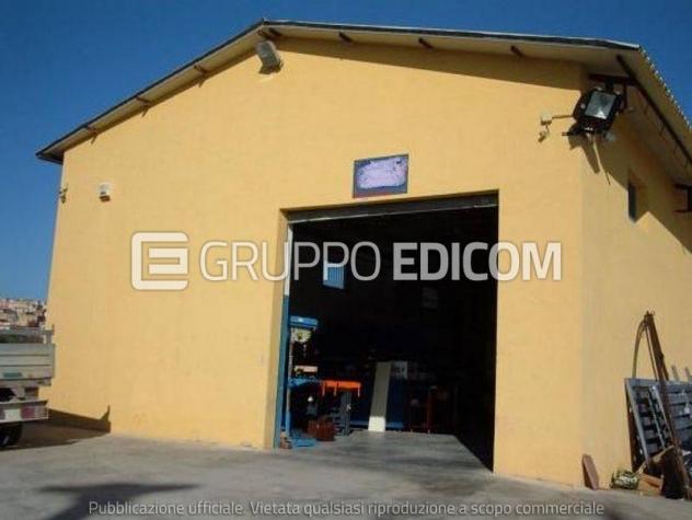 Magazzini e locali di deposito di 344.53 mq in vendita a Rosolini - Rif. 4558077 - Foto 6