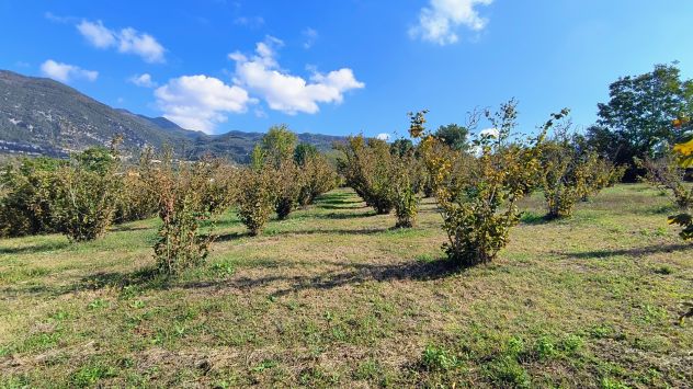 M.Rovella Indipendente con terreno - Foto 4