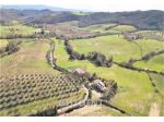 TERRENO AGRICOLO di 1 vani e di 1 mq (CINIGIANO - PIANTAVERNA) rif. 2298.284M