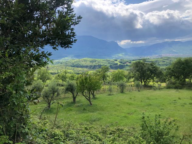 Ampia Tenuta Agricola in Abruzzo - Foto 6