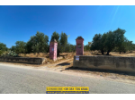 STORICA MASSERIA FORTIFICATA IN VENDITA