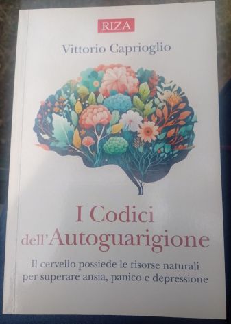 i codici dell’autoguarigione - il cervello possiede le risorse naturali per supe