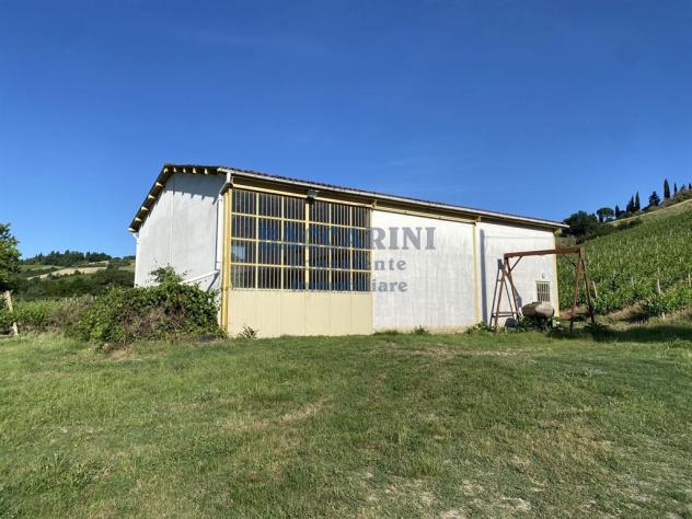 PODERE AGRICOLO CON CAPANNONE - BRISIGHELLA - FAENZA - VIA AGELLO E SANDRONA - Foto 17