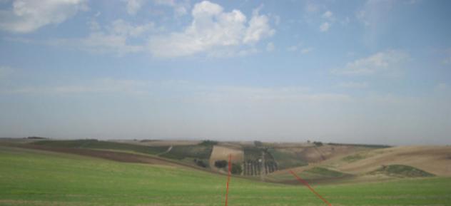 Immobile in asta di 65049 m² in vendita a Lavello - Foto 8