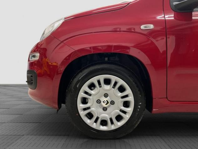FIAT Pandina Pandina 1.0 FireFly 65 CV Hybrid Icon rif. 24122144 - Foto 9