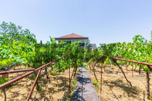 Villa singola in vendita a Mascalucia - Foto 8