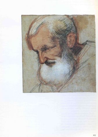 JACOPO  BASSANO - Foto 2