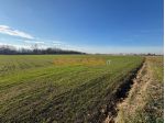 TERRENO AGRICOLO