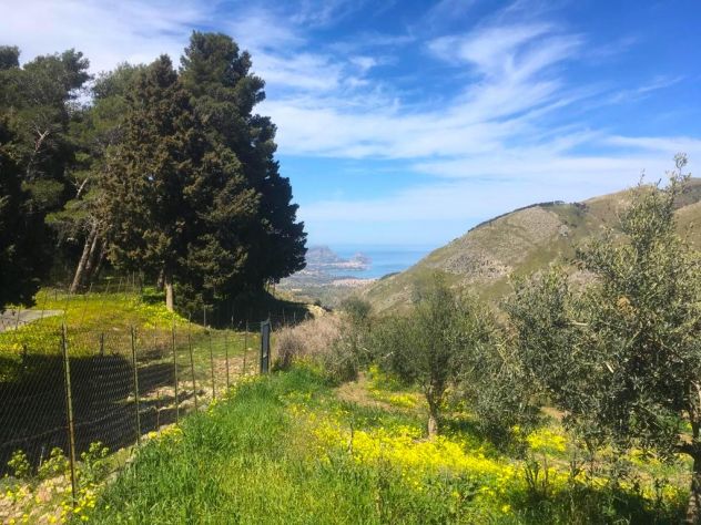 ALTAVILLA MILICIA - AM146 - Villetta Rustica con Terreno - Foto 4