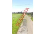 Immobile in asta di 110 m², box auto in vendita a Campi Salentina