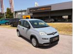 FIAT Panda 1.0 FireFly S&S Hybrid rif. 23247229