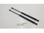 COPPIA MOLLE COFANO BAULE FIAT Panda 3° Serie (12)