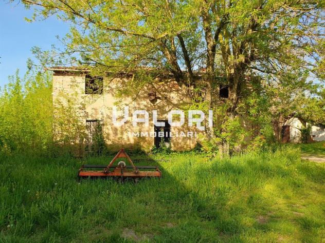 PODERE AGRICOLO DI HA 14.5 CON CASA COLONICA E SERVIZI - Foto 7