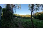Terreno agricolo in vendita a Livorno 2355 mq  Rif: 1408883