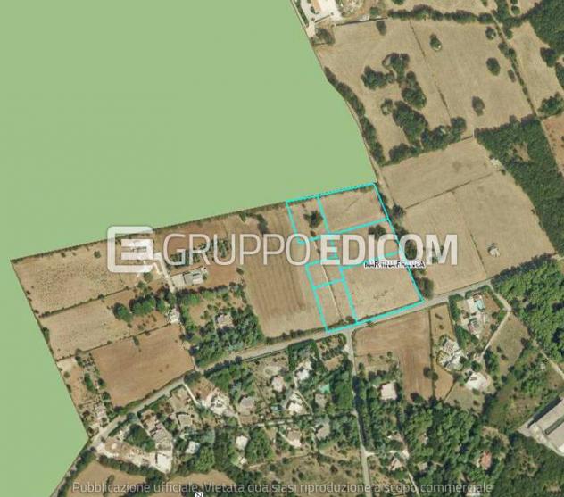 Terreno di 19010 mq in vendita a Martina Franca - Rif. 4550900 - Foto 3